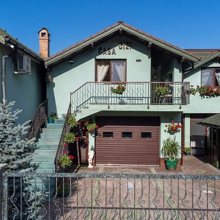 Casa Cizi Hotel Calimanesti Ngoại thất bức ảnh