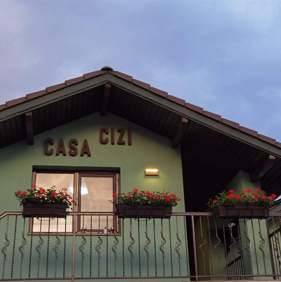 Casa Cizi Hotel Calimanesti Ngoại thất bức ảnh