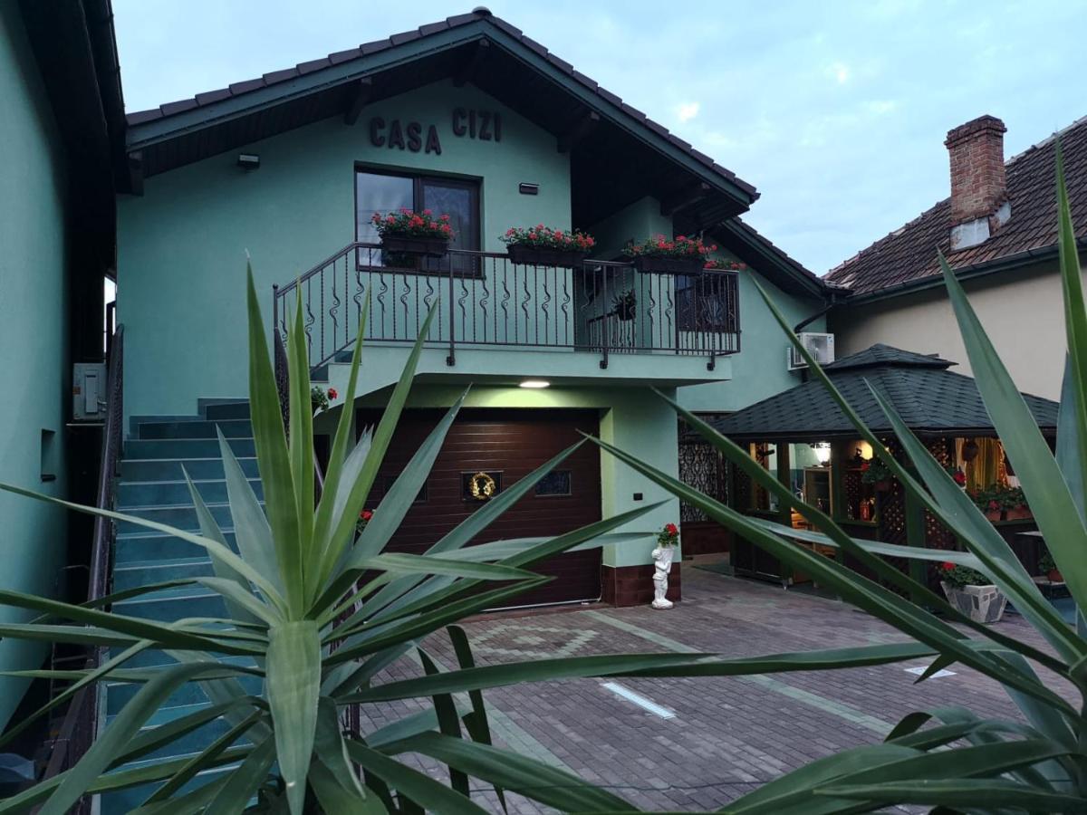 Casa Cizi Hotel Calimanesti Ngoại thất bức ảnh
