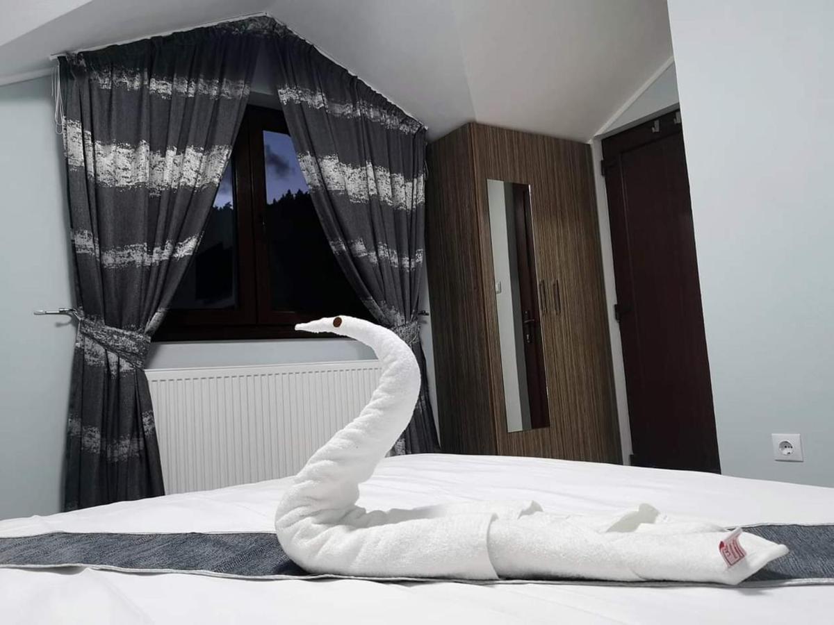 Casa Cizi Hotel Calimanesti Ngoại thất bức ảnh