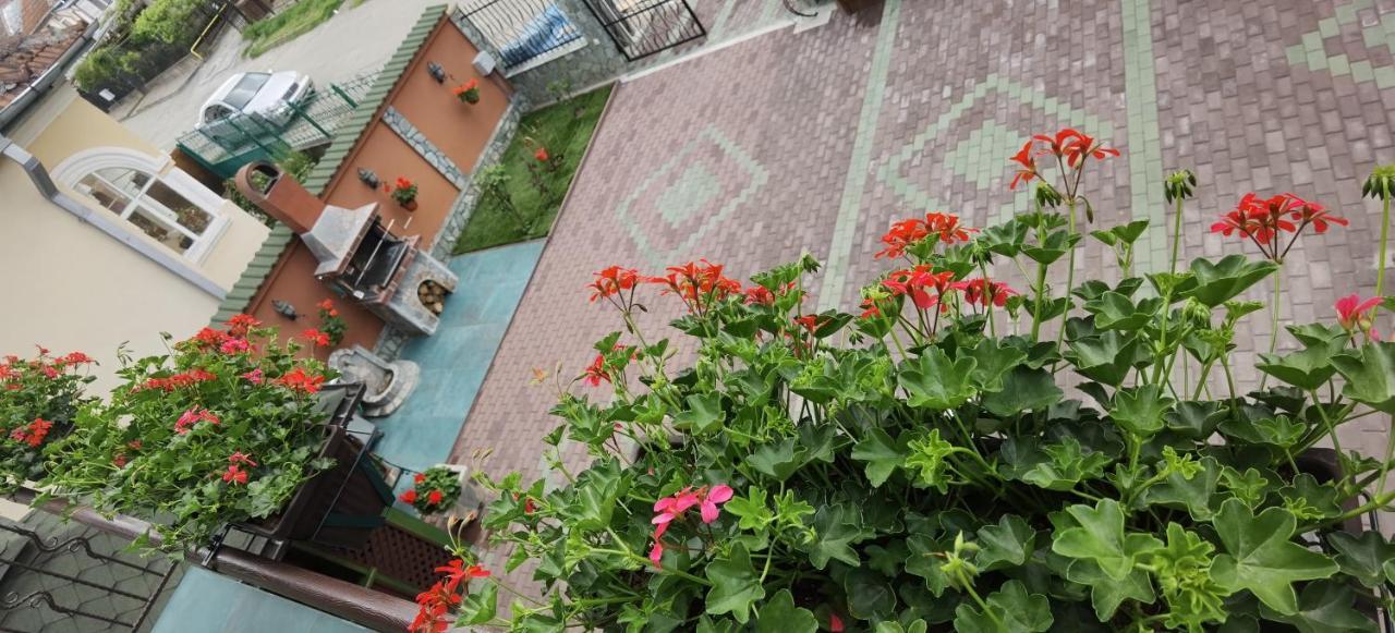 Casa Cizi Hotel Calimanesti Ngoại thất bức ảnh