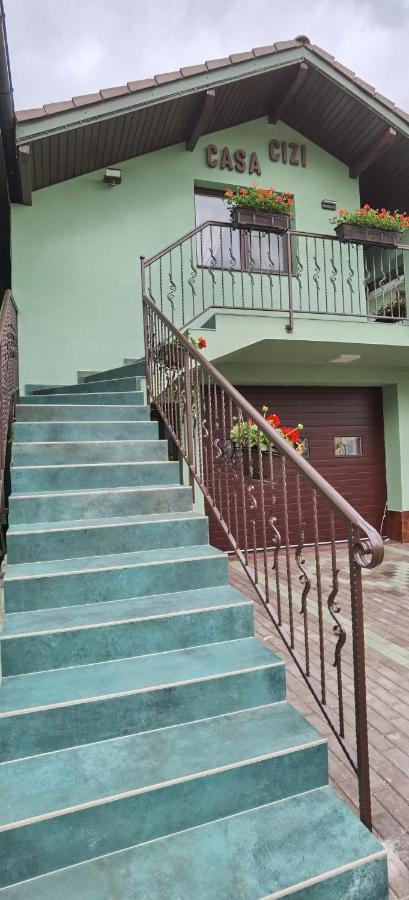 Casa Cizi Hotel Calimanesti Ngoại thất bức ảnh