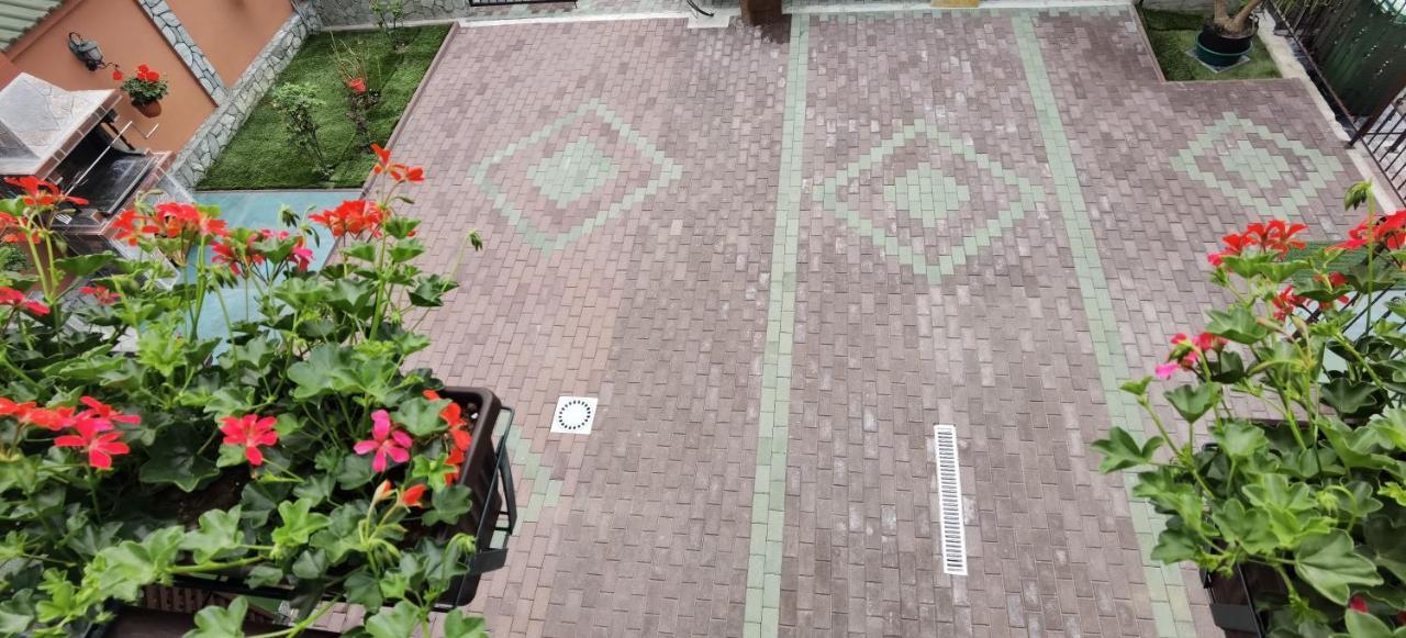 Casa Cizi Hotel Calimanesti Ngoại thất bức ảnh