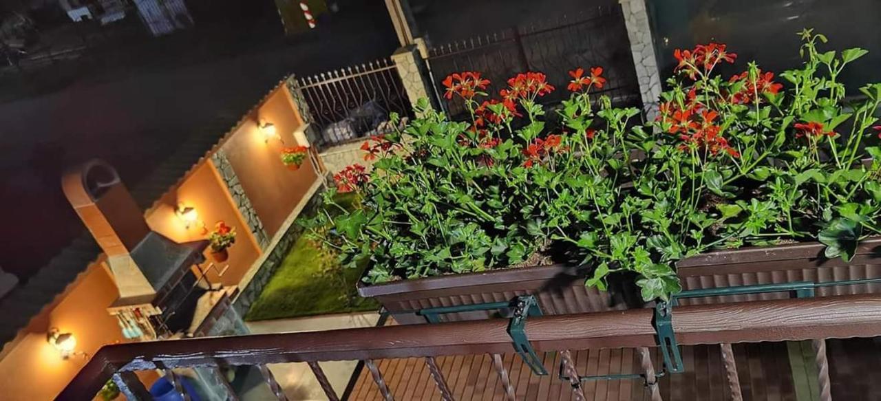 Casa Cizi Hotel Calimanesti Ngoại thất bức ảnh