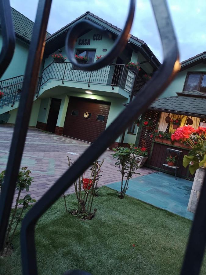 Casa Cizi Hotel Calimanesti Ngoại thất bức ảnh