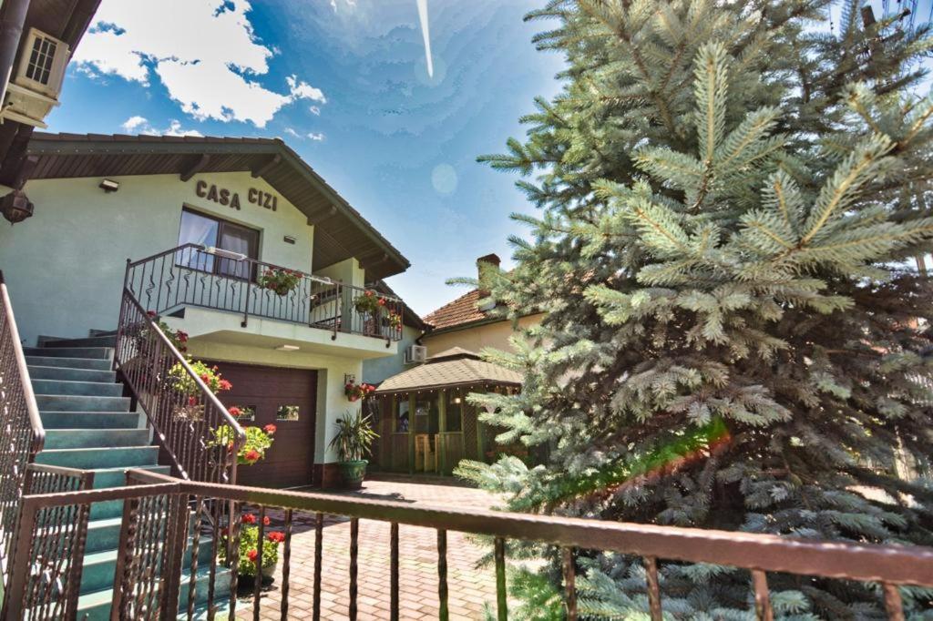 Casa Cizi Hotel Calimanesti Ngoại thất bức ảnh