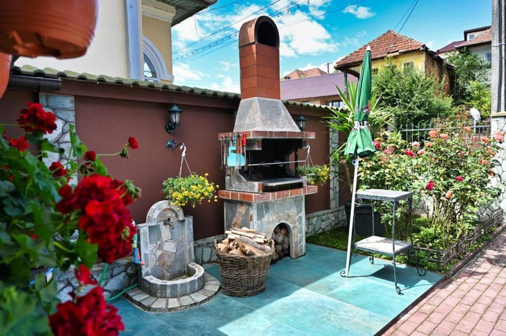 Casa Cizi Hotel Calimanesti Ngoại thất bức ảnh