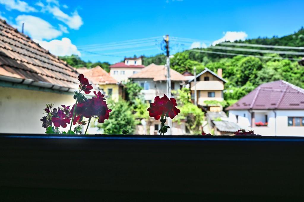 Casa Cizi Hotel Calimanesti Ngoại thất bức ảnh